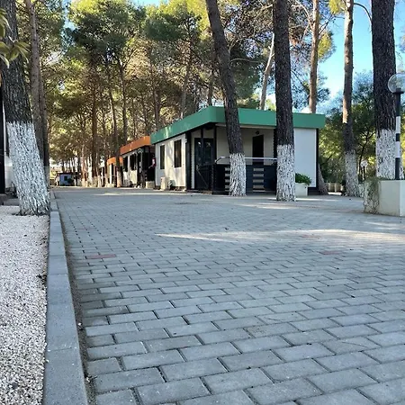 Village