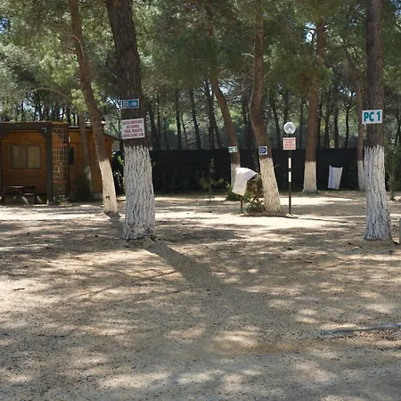 Village