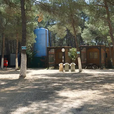 Village Holiday park