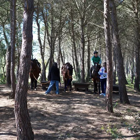 Tatil parkı Village
