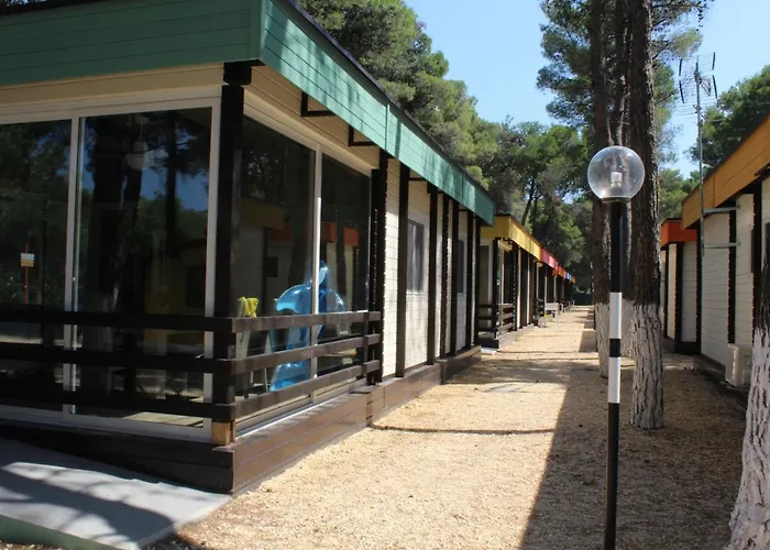 홀리데이파크 Village 3*