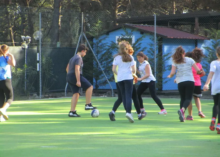 홀리데이파크 Village 3*